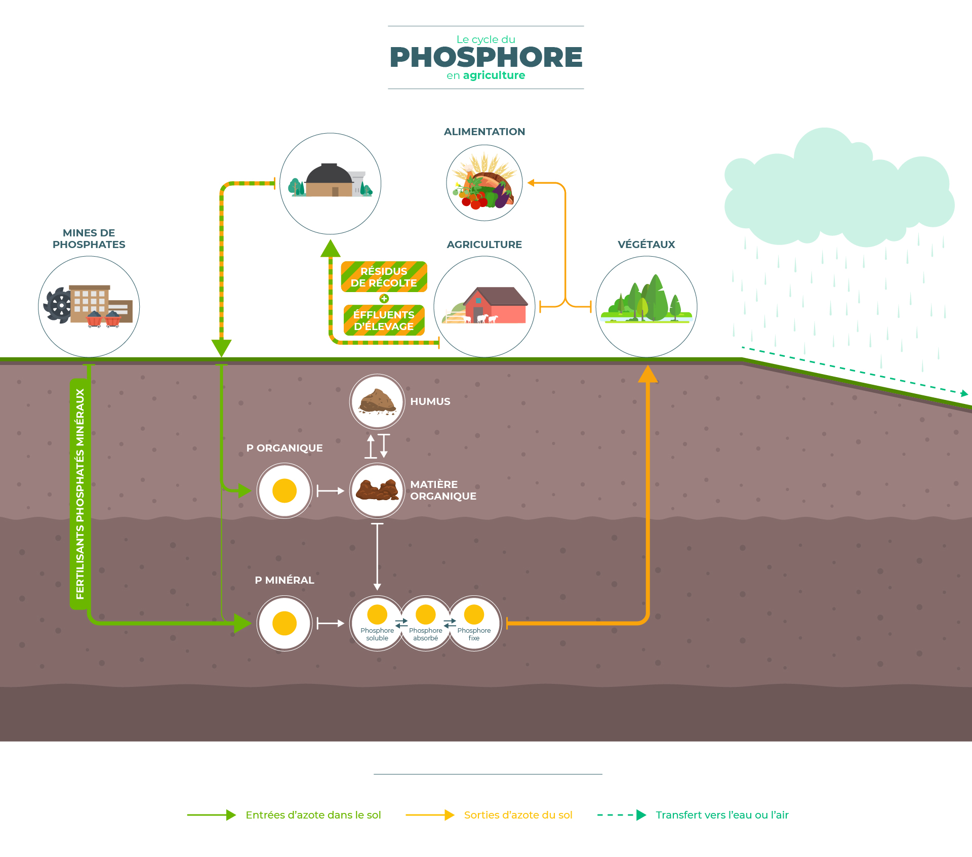 Cycle du phosphore en agriculture 2