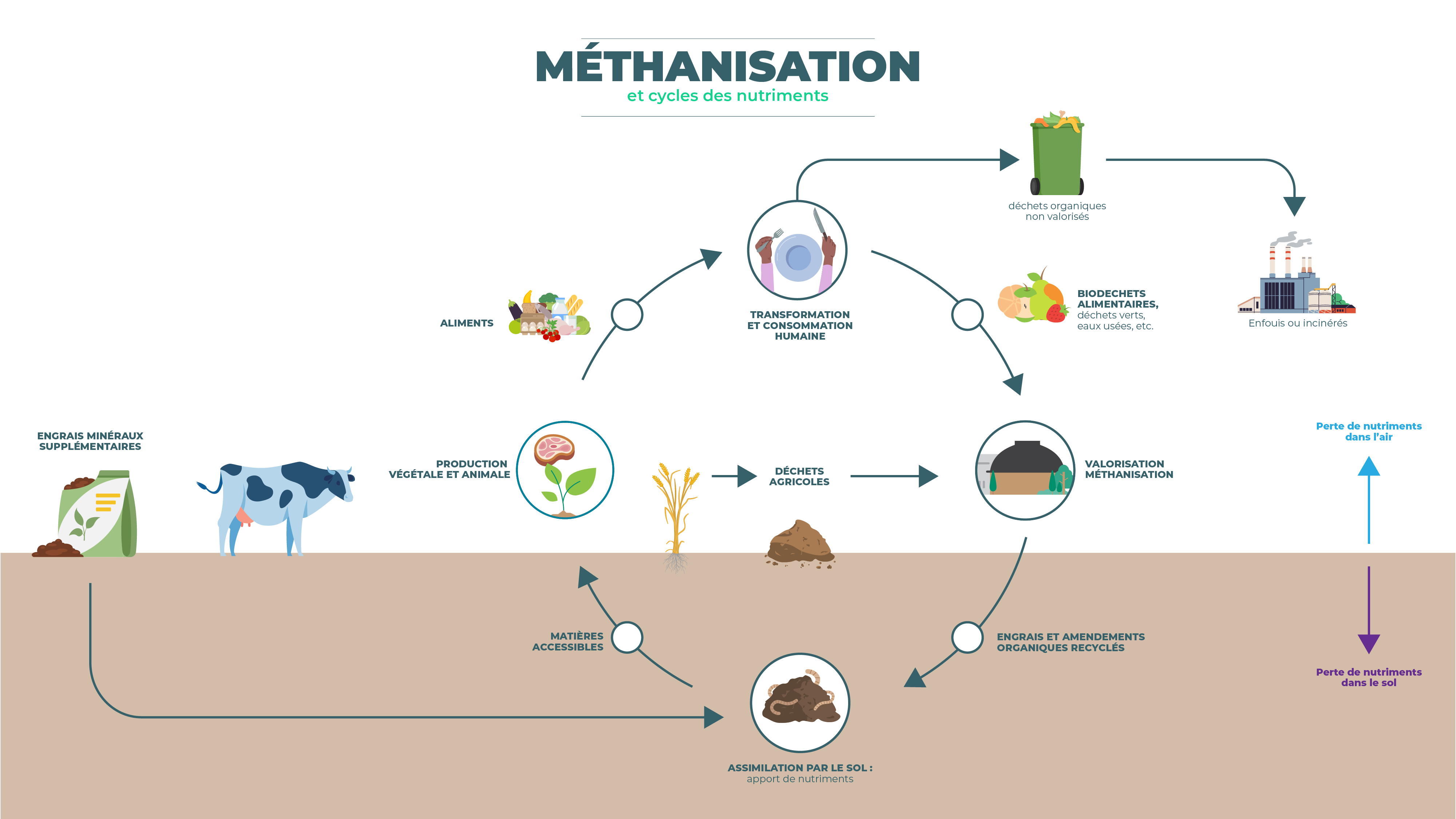 Cycles des nutriments et méthanisation