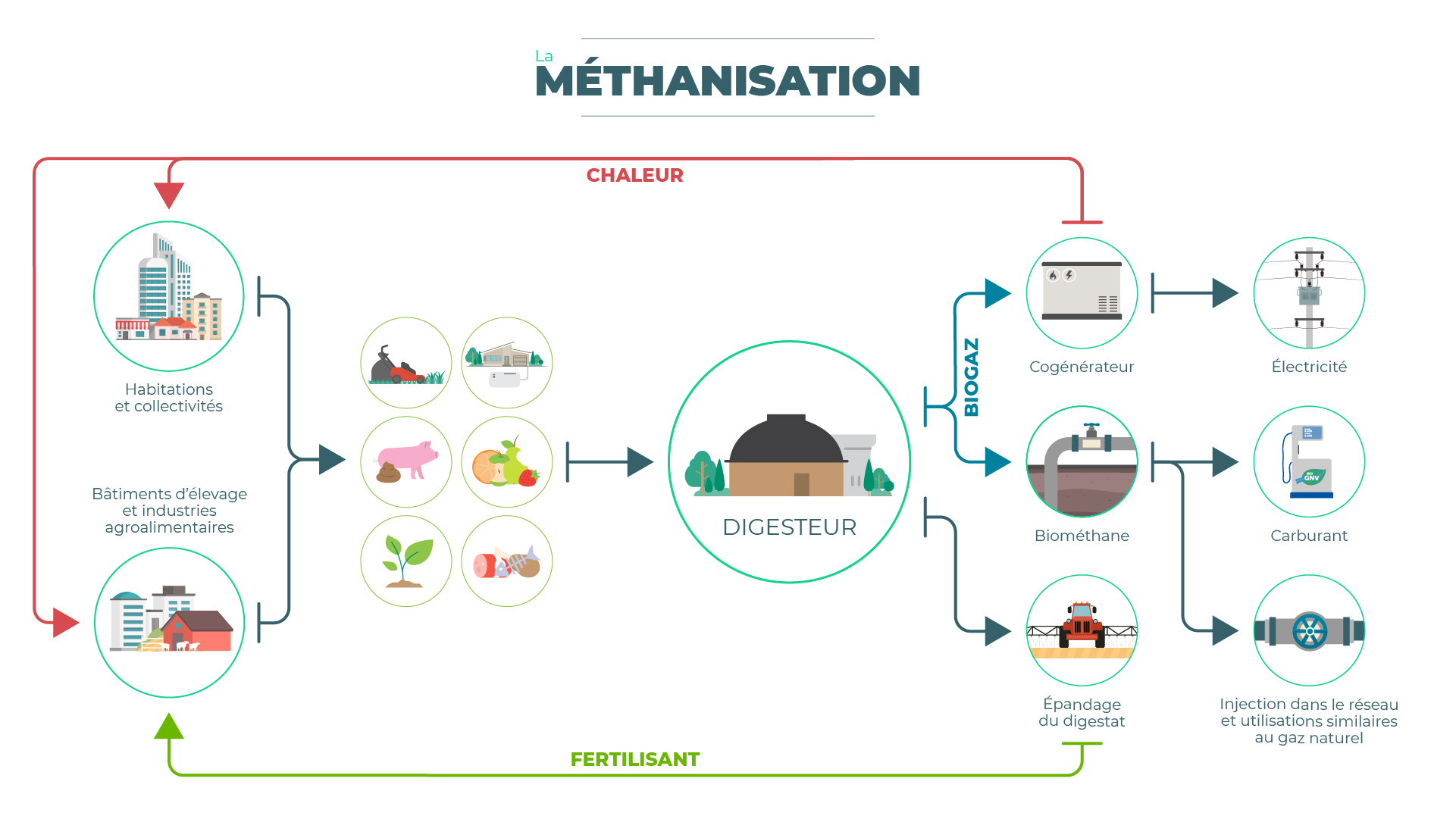 schéma des flux et des étapes du procédé de méthanisation, depuis les lieux de production des intrants jusqu'à la valorisation énergétique