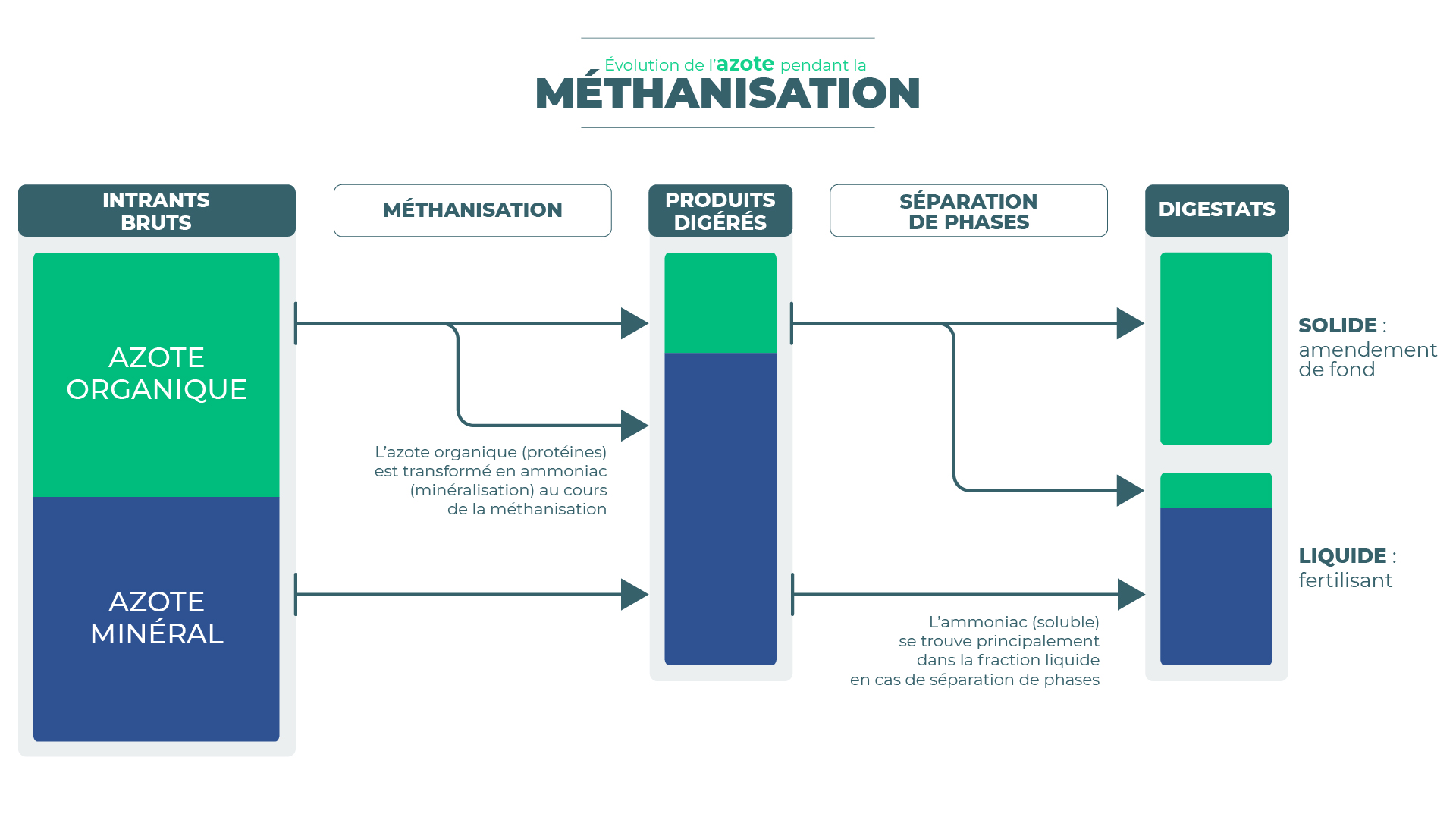 Evolution de l'azote pendant la méthanisation