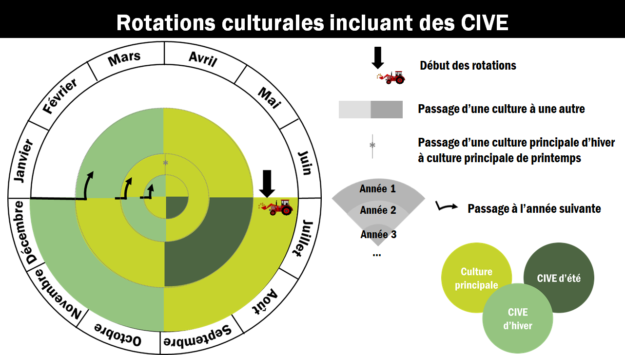 Rotations culturales incluant des CIVE