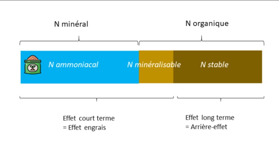 Formes d'azote dans les digestats 