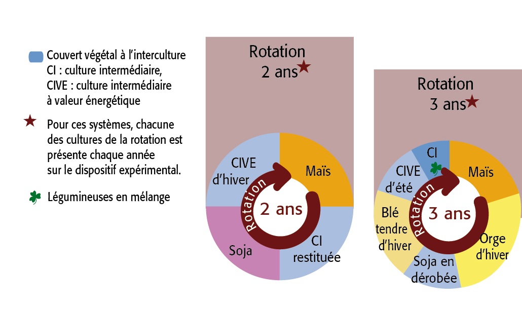La rotation SYPPRE BEARN 