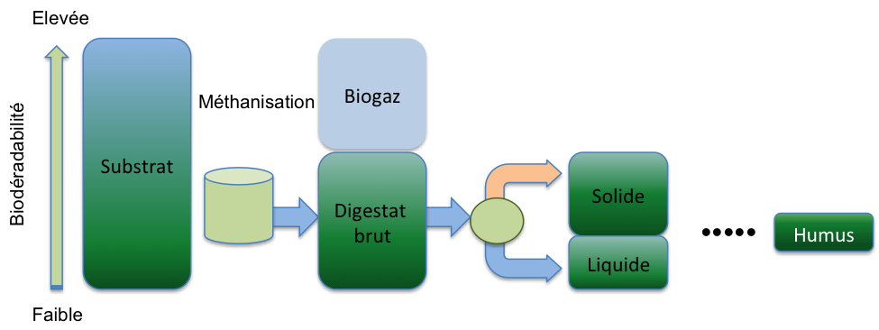 EvolutionMatOrg