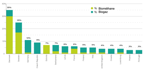 Ratio production biogaz biomethane rapporte a la consommation de gaz naturel 